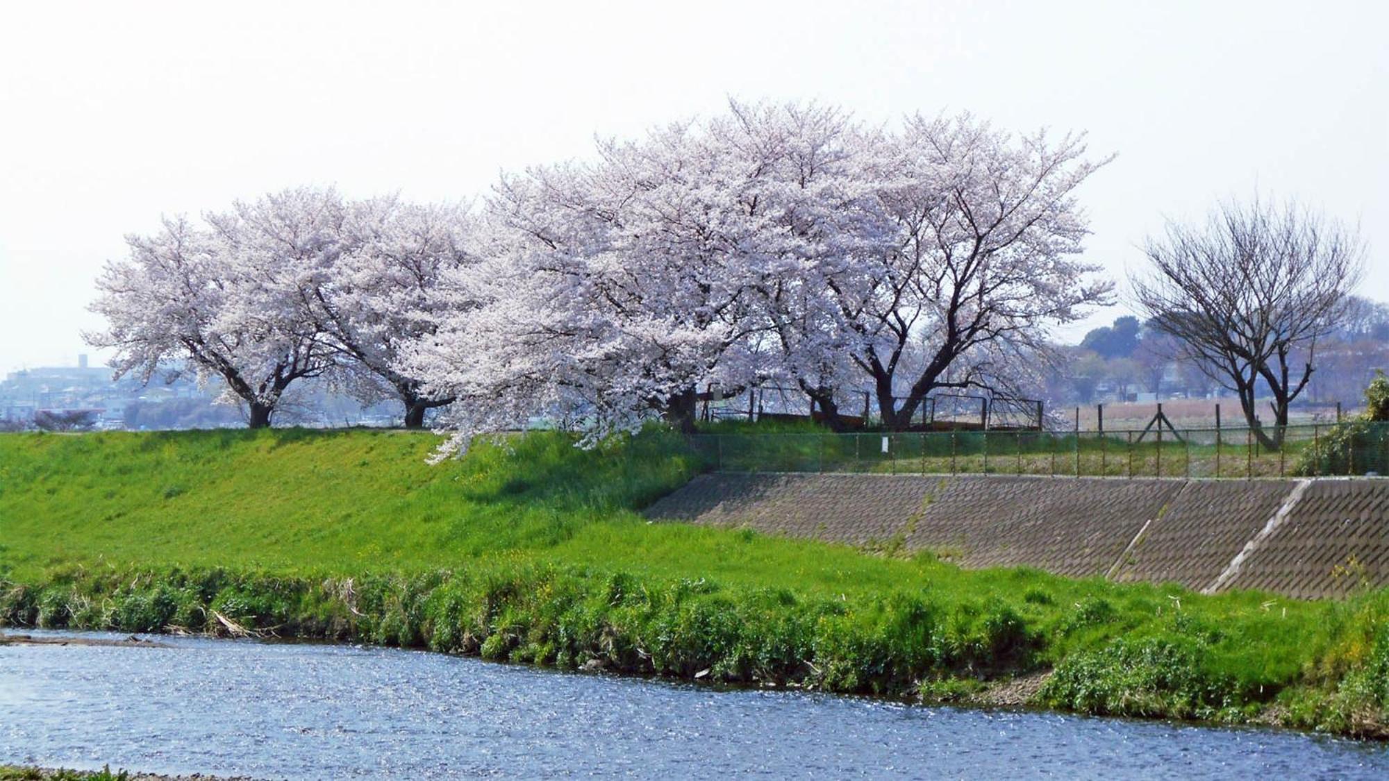 Toyoko Inn Shiki Eki Higashi Guchi Luaran gambar