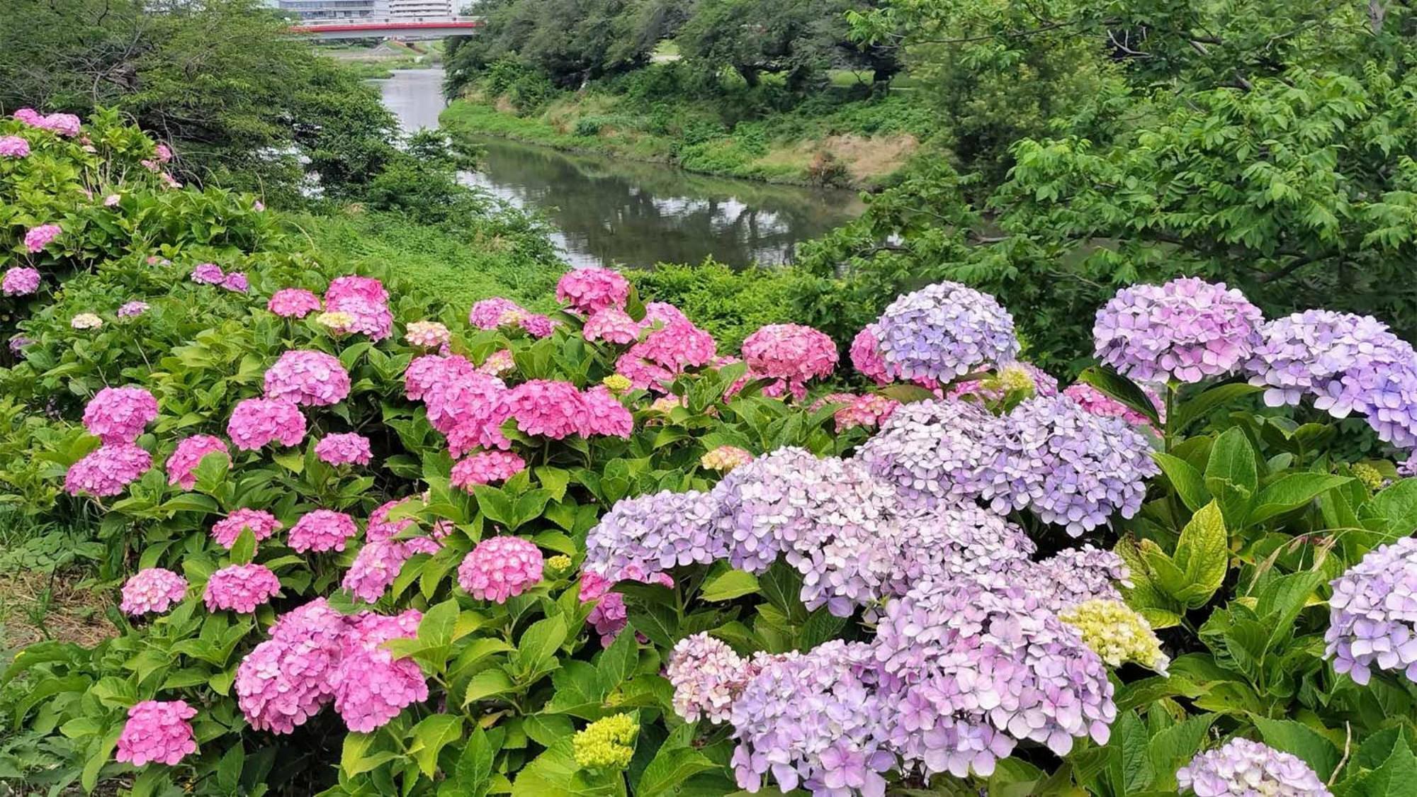 Toyoko Inn Shiki Eki Higashi Guchi Luaran gambar
